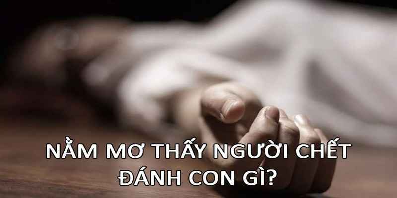 Các trường hợp nằm mơ thấy người chết đánh con gì