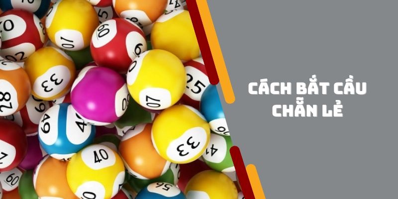 Cách Bắt Cầu Chẵn Lẻ - 5 Bí Kíp Bắt Cầu Cực Đỉnh Từ Dân Chuyên