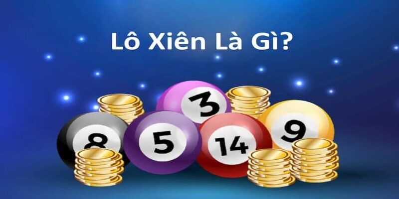 Đôi nét sơ lược về các loại hình lô xiên