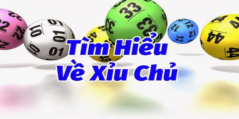 Giải đáp khái niệm xỉu chủ là gì
