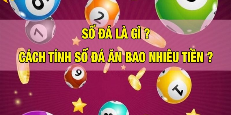 Khái niệm số đá là gì