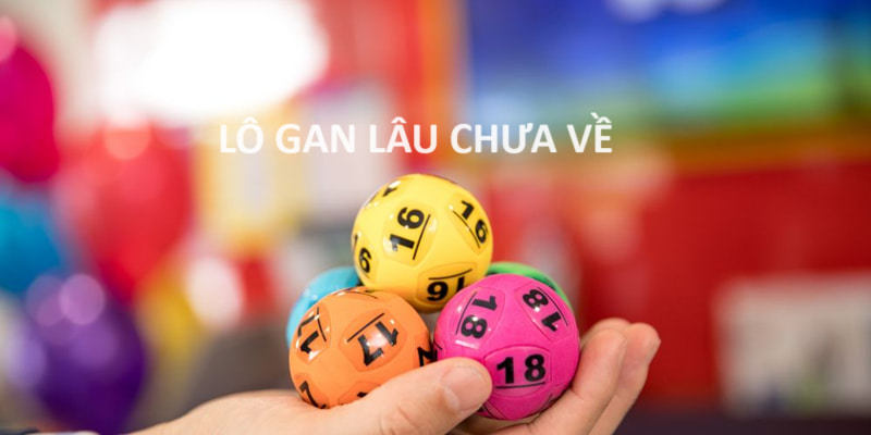 Kinh nghiệm chơi lô gan là gì