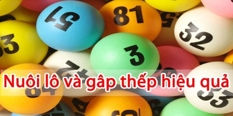 Lô Gấp Thếp Là Gì? Mẹo Chơi Được Chuyên Gia Khuyến Khích 
